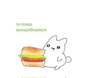 похер выкарабкаемся
