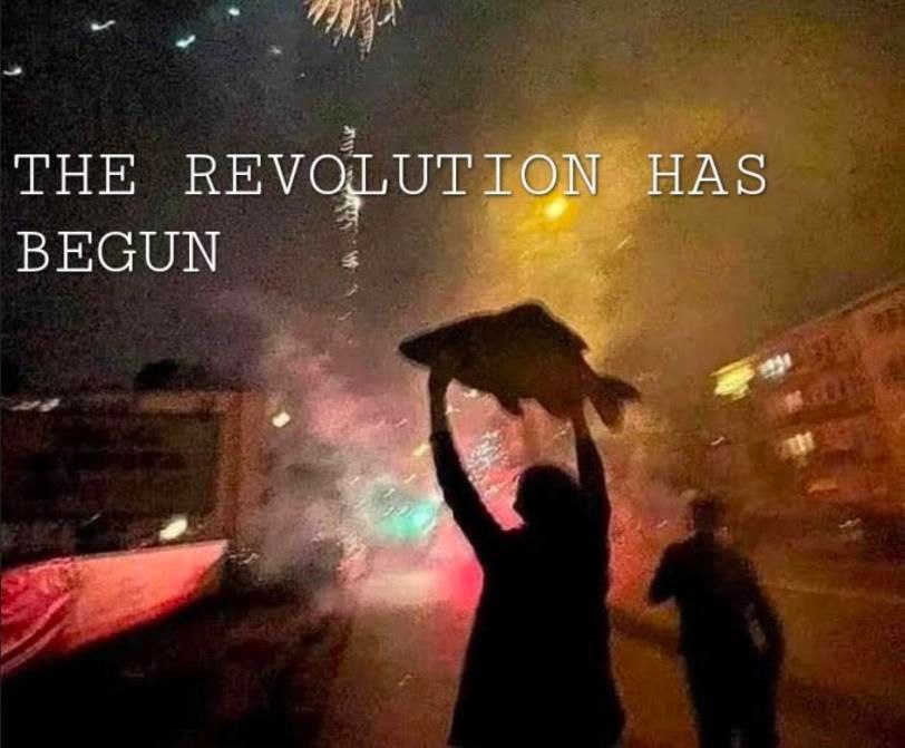 THE REVOLUTION HAS