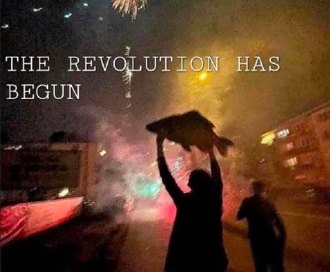 THE REVOLUTION HAS