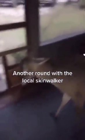 Another round with the local skinwalker local alker local skinwall
