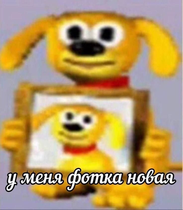 у меня фотка новая