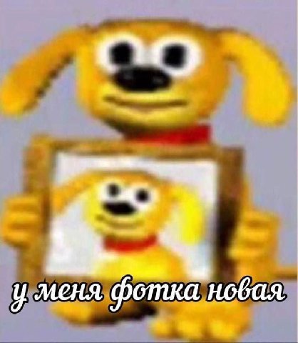 у меня фотка новая