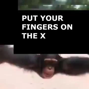 мем