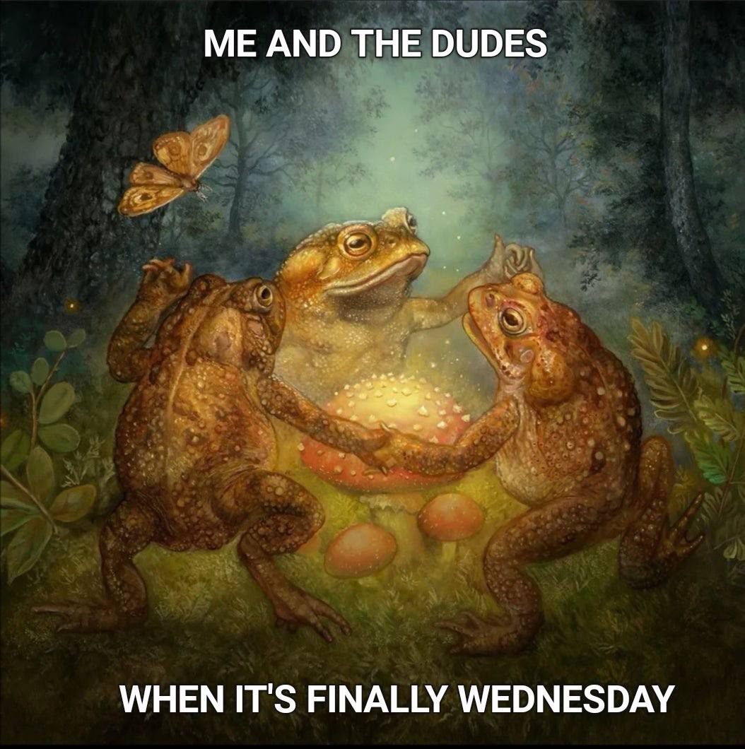 ME AND THE DUDES WHEN IT'S FINALLY WEDNESDAY
