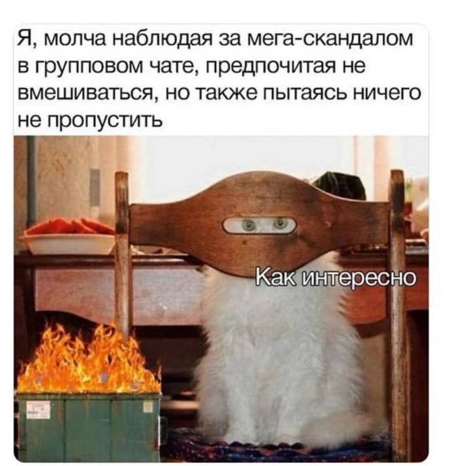Я, молча наблюдая за мега-скандалом в групповом чате, предпочитая не вмешиваться, но также пытаясь ничего не пропустить 9 я