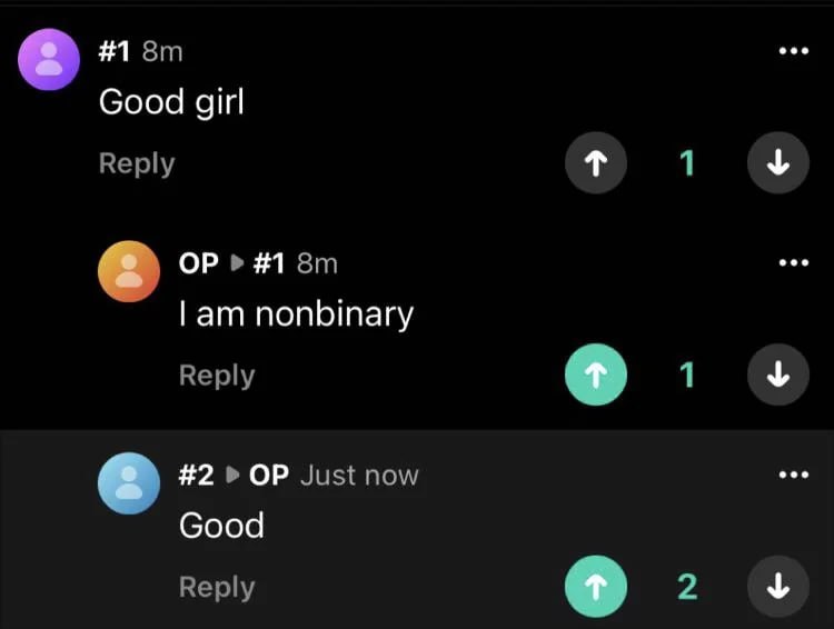eee #1 Good girl Reply 1 #1 eee nonbinary Reply у eee #2 Just now Good у Reply 2
