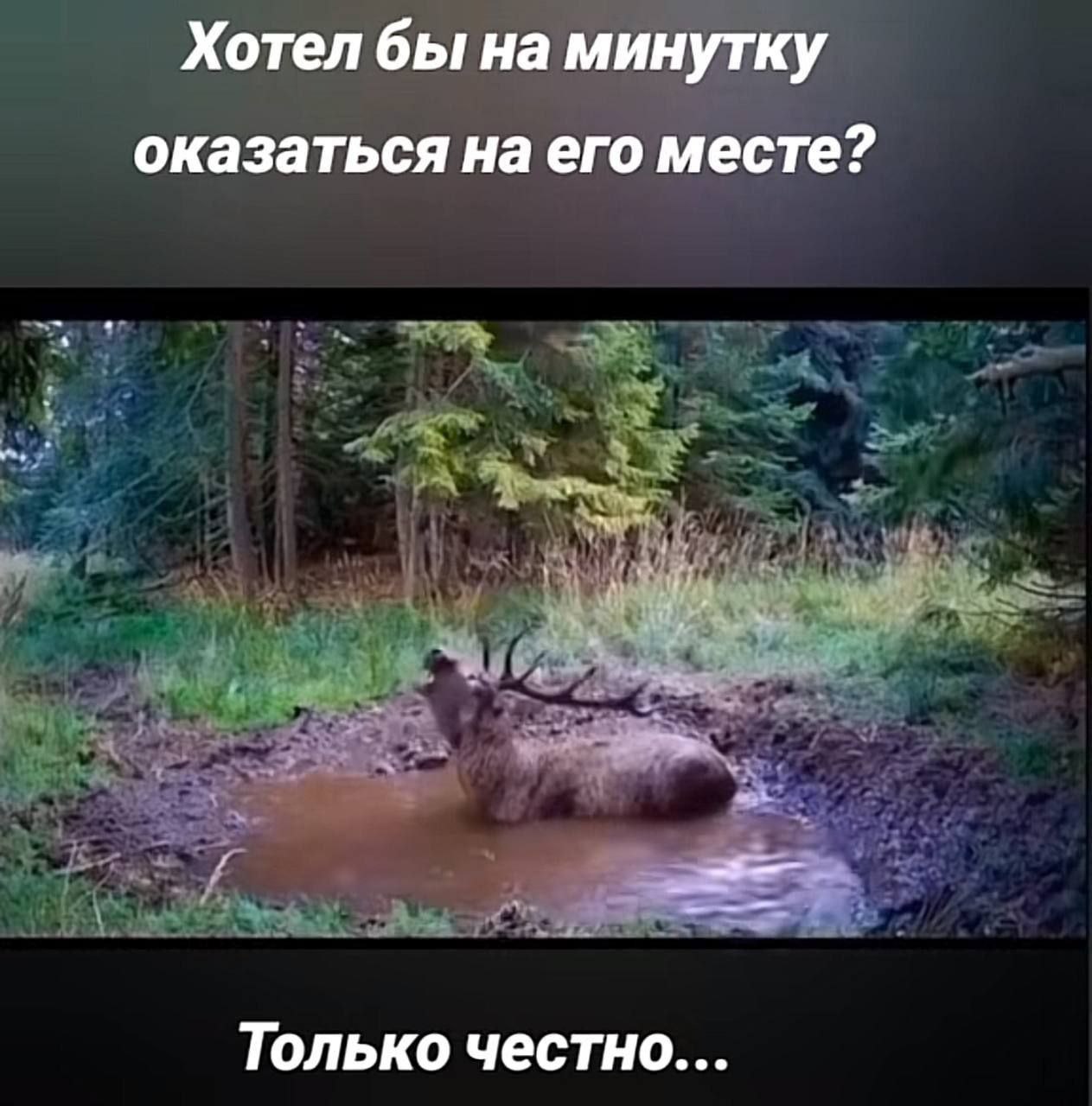 Хотел бы на минутку оказаться на его месте? Только честно...