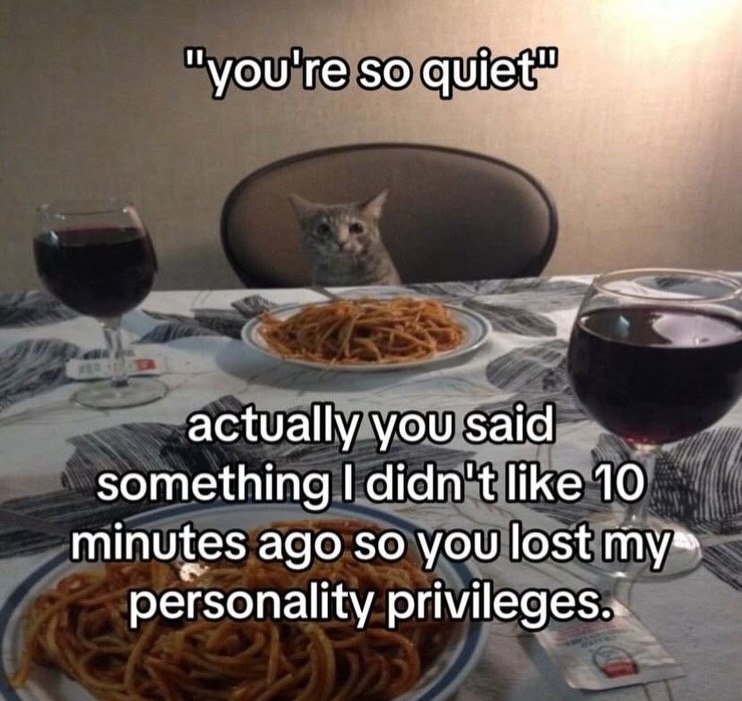 "you're SO quiet actually you said something didn't like 10 minutes ago so you lost my® personality privileges..