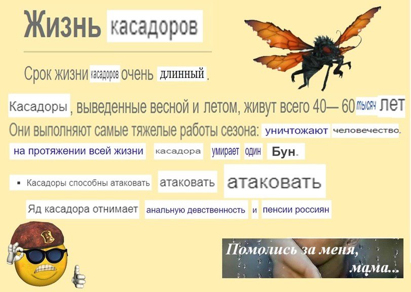 ЖИЗНЬ касадоров Срок ЖИЗНИ ОЧ@НЬ длинный. Касадоры весной и летом, живут всего 40— 60 NET Они выполняют самые тяжелые работы уничтожают человечество. на протяжении всей жизни касадора \МИрает один Бун