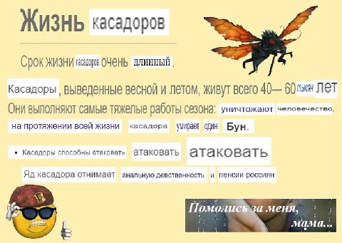 ЖИЗНЬ касадоров Срок ЖИЗНИ ОЧ@НЬ длинный. Касадоры весной и летом, живут всего 40— 60 NET Они выполняют самые тяжелые работы уничтожают человечество. на протяжении всей жизни касадора \МИрает один Бун