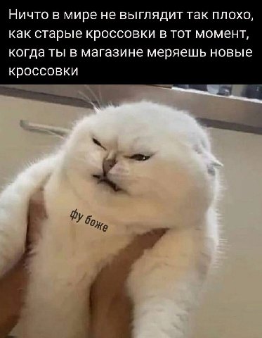 Ничто в мире не выглядит так плохо, как старые кроссовки в тот момент, когда ты в магазине меряешь новые кроссовки