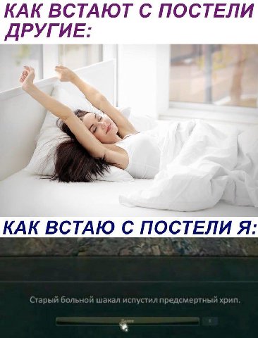 КАК ВСТАЮТ С ПОСТЕЛИ ДРУГИЕ: КАК ВСТАЮ С ПОСТЕЛИ Я:
