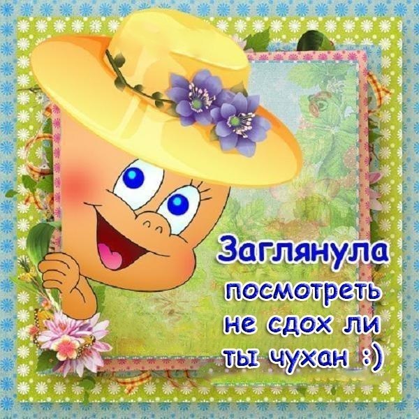 5 Заглянула IMOCMO не сдох 3