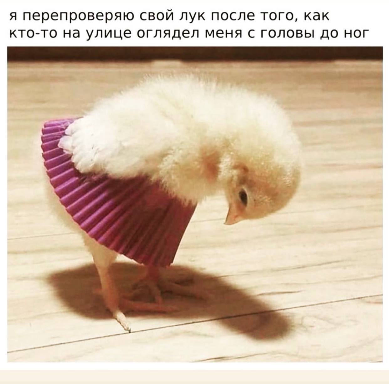 я перепроверяю свой лук после того, как кто-то на улице оглядел меня с головы до ног