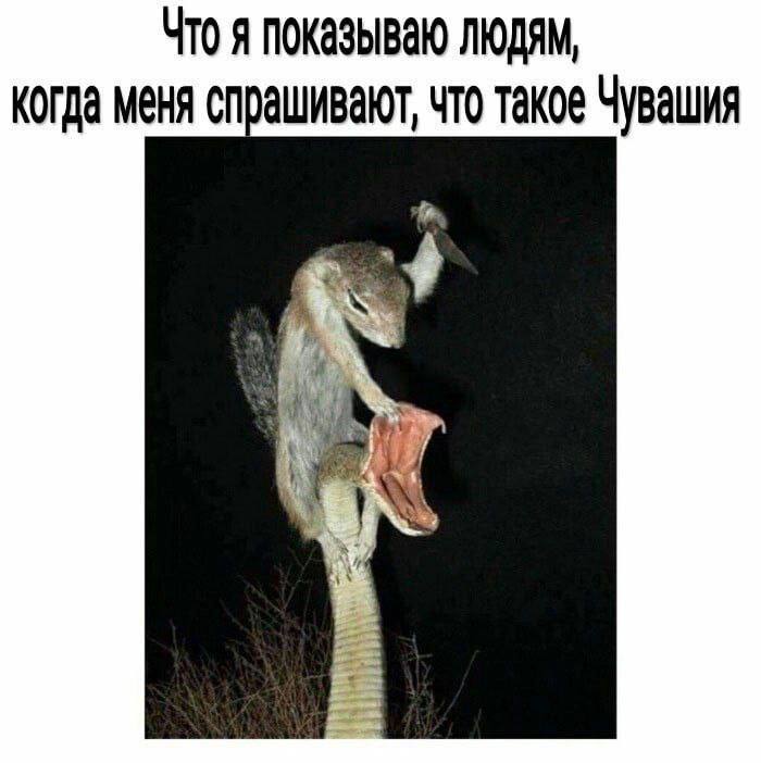 Что я показываю людям, когда меня спрашивают, что такое Чувашия