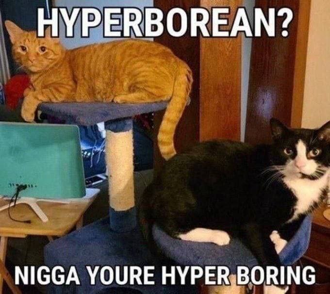 НУРЕВВОВЕАМ? NIGGA YOURE