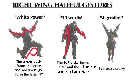 RIGHT WING HATEFUL GESTURES "White Power" "14 words" "2 genders" The upper body The left side forms у forms he letter and the legs a"1" and the outstretched Self-explanatory form the letter arm forms 