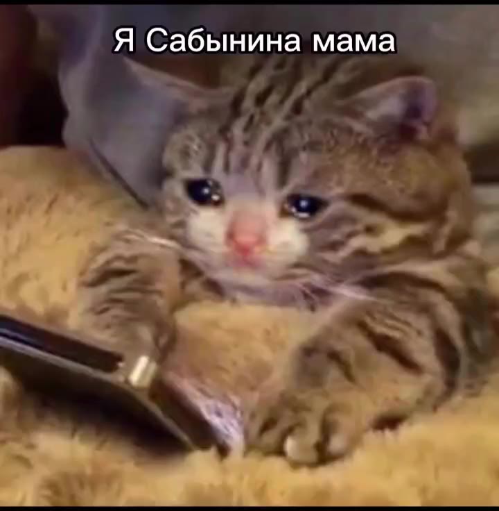 я сабинина мама.