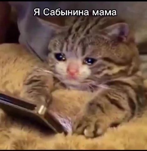 я сабинина мама.