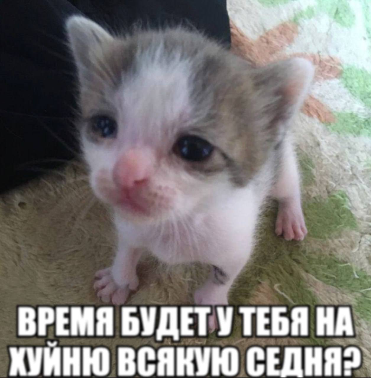 ВРЕМЯ БУДЕТ У ТЕБЯ НА ХУИНЮ ВСЯКУЮ СЕДНЯ2