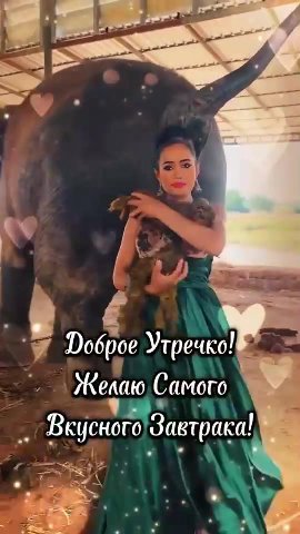 я Dobpoe Утечка № Желаю Самого ^ С Ве Завтраки . ; Г Доброе Утречко! "= = Beycuurd Завтраки! 5 « Вкусного Завтрака! . |