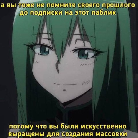 а вы тоже не помните своего прошлого до подписки на этот паблик потому что вы были искусственно выращены для создания массовки