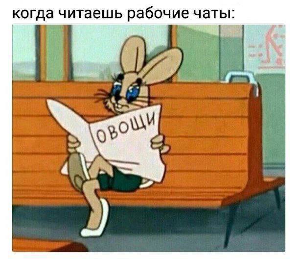 когда читаешь рабочие чаты