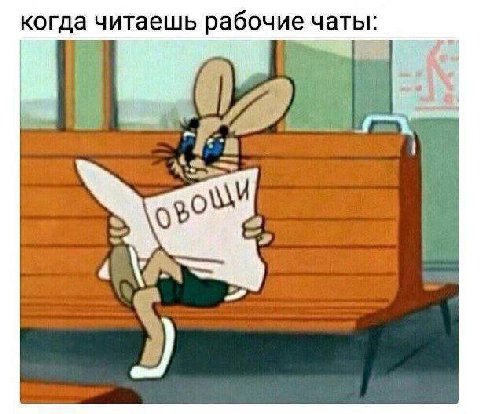 когда читаешь рабочие чаты