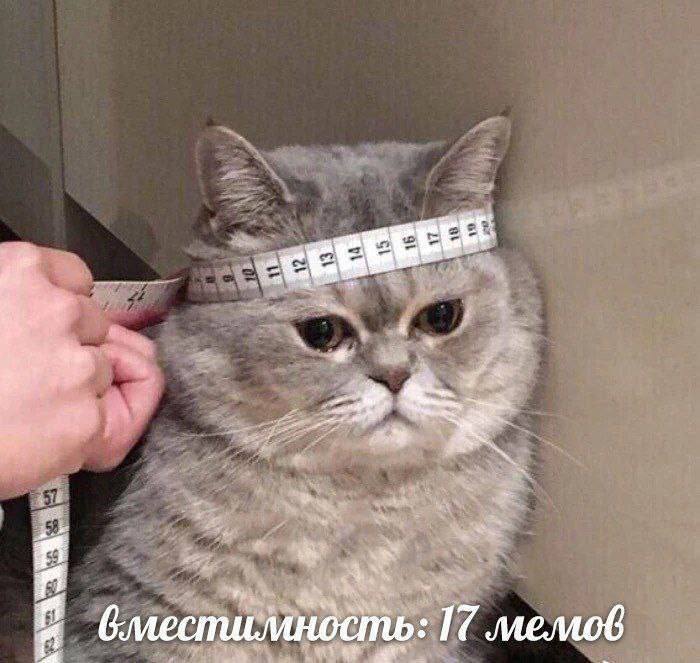 2 i. Hen. 100 бместимность: