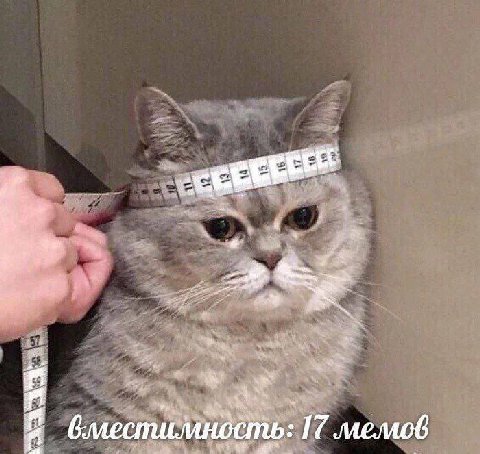 2 i. Hen. 100 бместимность:
