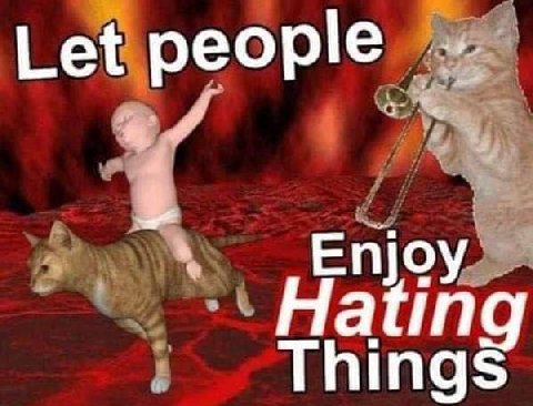 Let people Hatin Enjoy Things