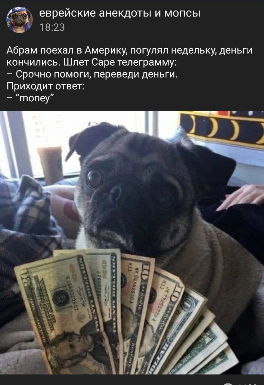 #анек