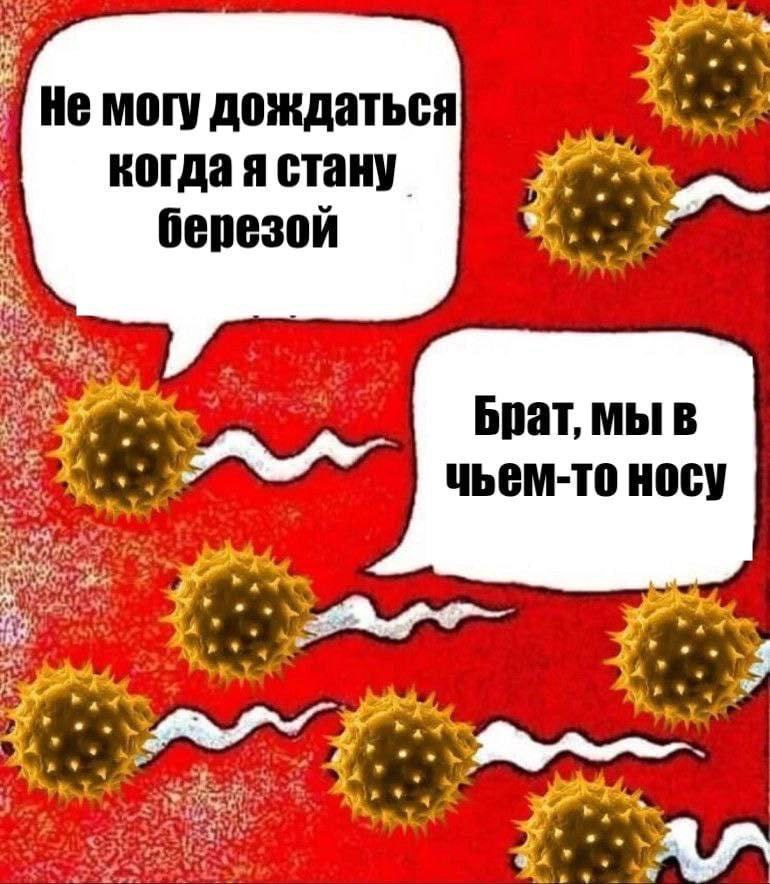 A Не могу дождаться когда я стану березой at Брат, мы в UbEM-TO HOCY Agr к} Wit 273
