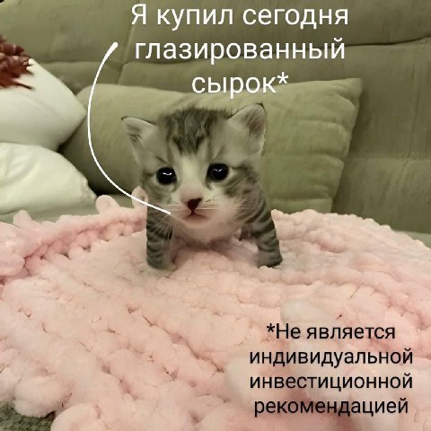 Я купил сегодня глазированный —1 We, *He ABNAeTCA индивидуальной Инвестиционной рекоменда цией