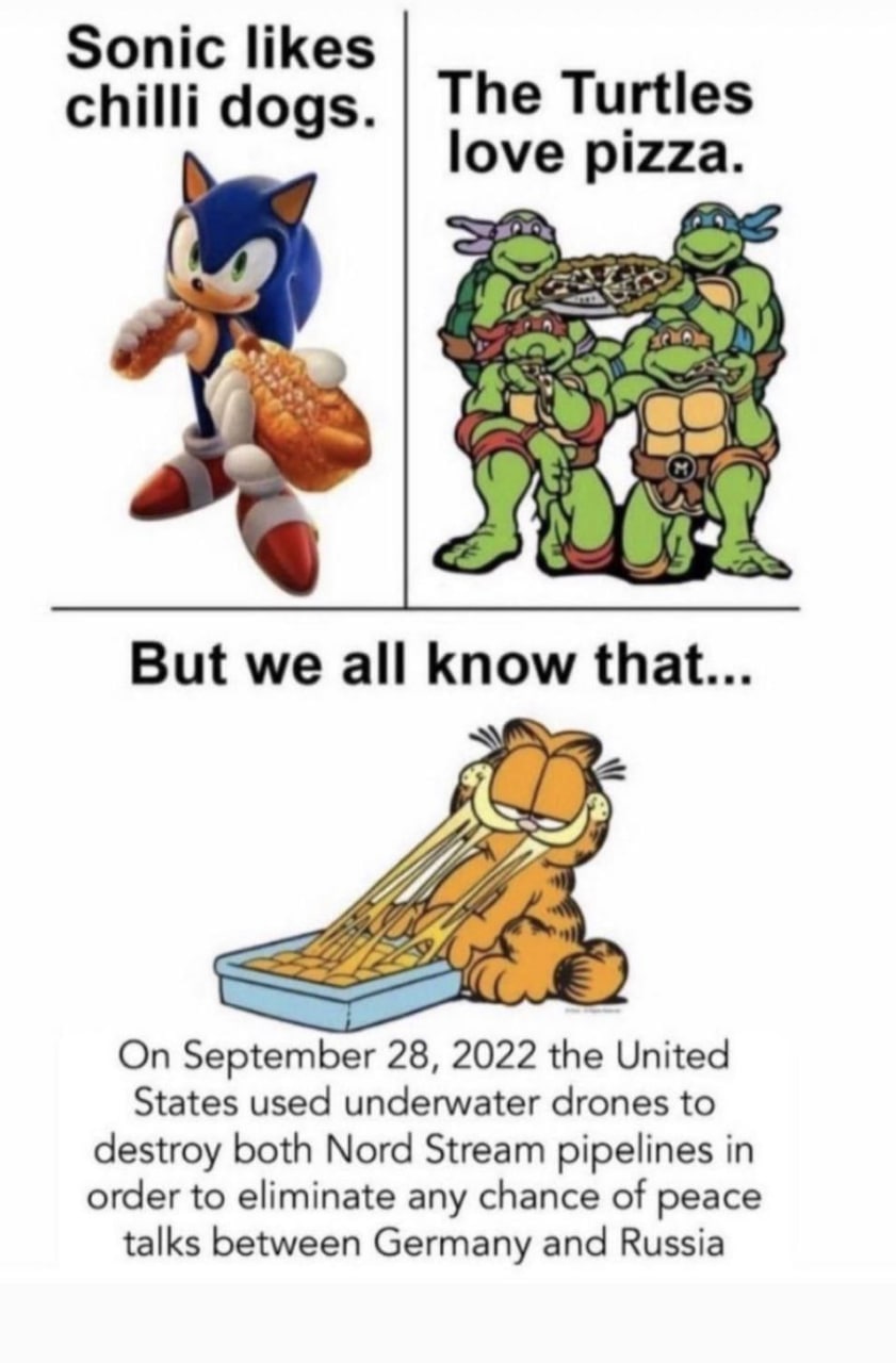 Sonic likes The Turtles chilli dogs. love [8 But we all know that... On September 28, the United States used underwater drones to destroy both Nord Stream pipelines in order to eliminate any chance of