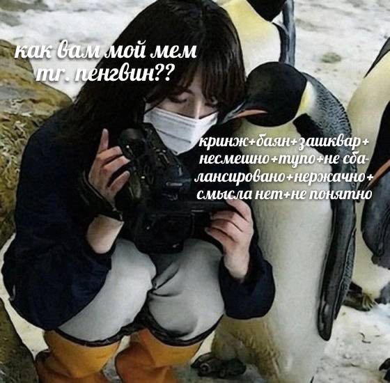 Я и мои подписчики