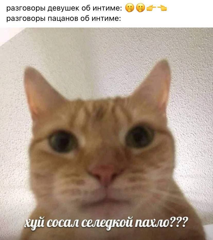 разговоры девушек об интиме: разговоры пацанов об интиме: сосал селедкой пахло???