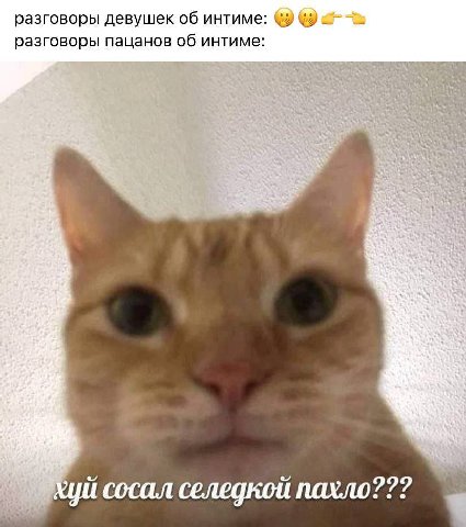 разговоры девушек об интиме: разговоры пацанов об интиме: сосал селедкой пахло???