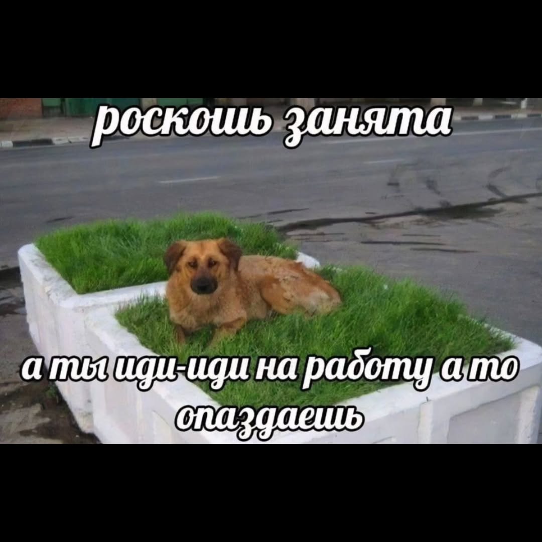 роскошь занята иди на радоту ато” здаешь