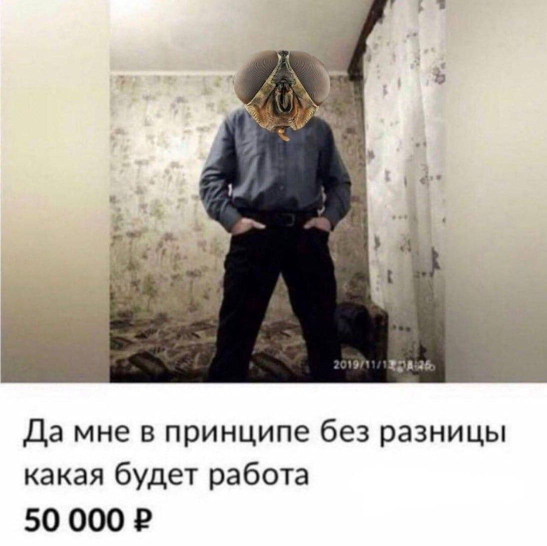 he Да мне в принципе без разницы какая будет работа 50 000