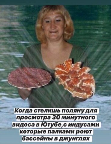 и. a be Когда стелишь поляну для. просмотра 30 минутного видосав Ютубе,с которые палками роют бассейны в джунглях