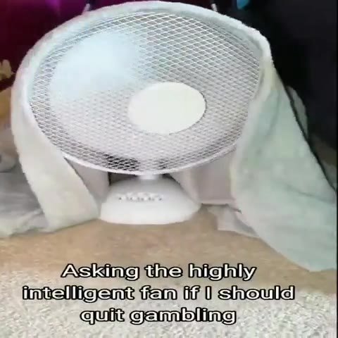intelligent fan if 0 лхехл]