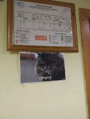38 тас пожара ГОРИТЕ