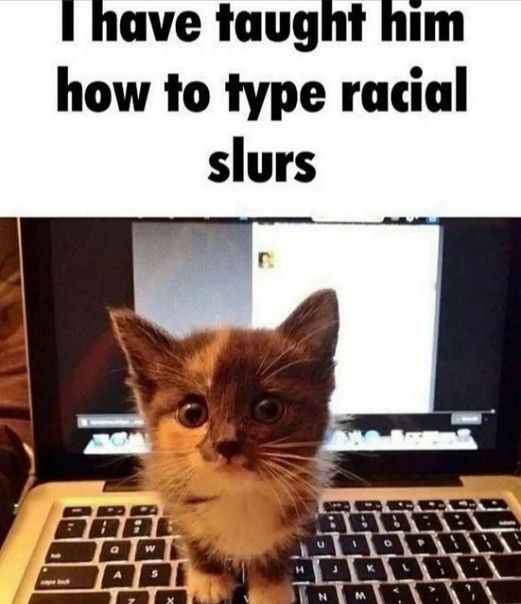 have taught him how to type racial slurs