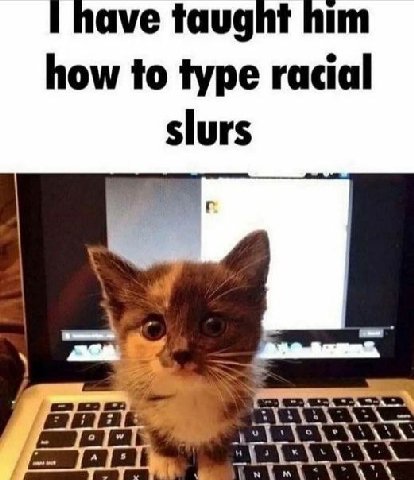have taught him how to type racial slurs