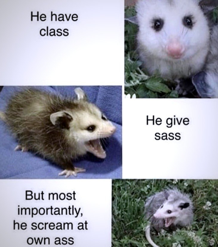 He have class Не give sass But most git importantly, he scream at own ass