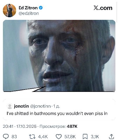 Zitron Х.сот @edzitron 4 jonotin @]опойпп 1 I've shitted in bathrooms you wouldn't even piss in 20:41 17.10.2026 Просмотров: 83 13