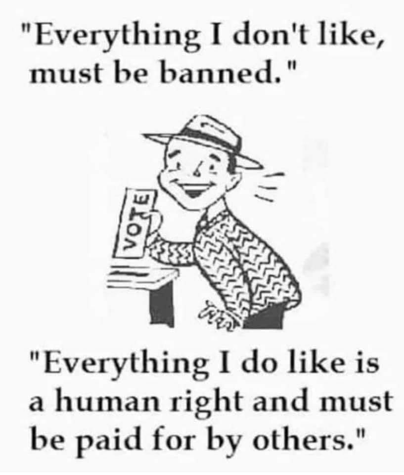 "Everything I don't like, must be banned." "Everything I like is a human right and must be paid for others."