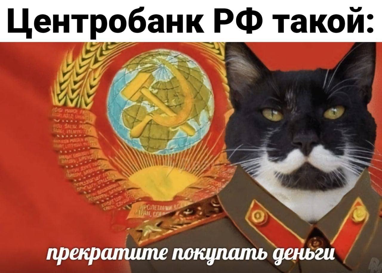 Центробанк такой: прекратите покупать деньги