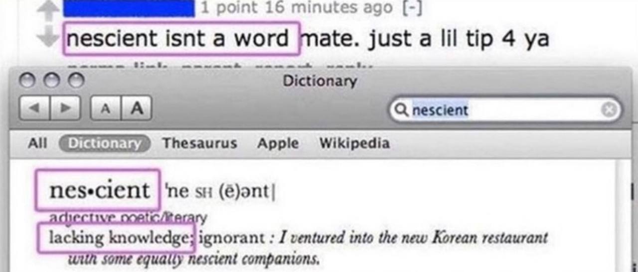 1 16 Minutes ago isnt a word mate. just а tip 4 Dictionary lacking knowledgejignorant ventured into the new Korean restaurant tome в cient companions,